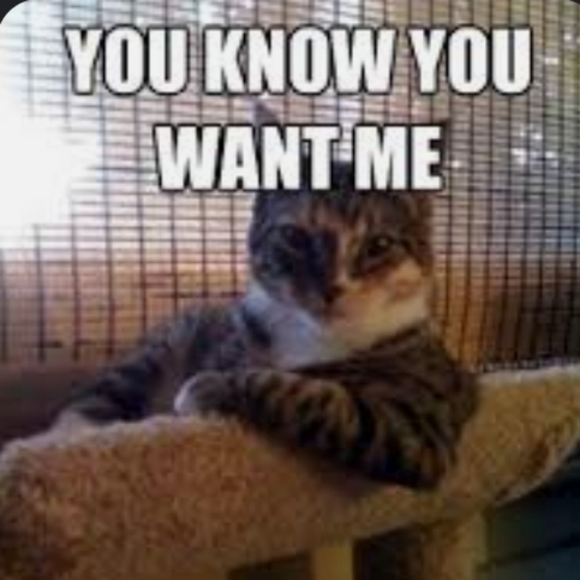 Meet your Posher - Picture 1 of 1